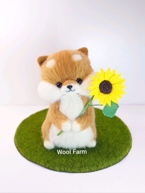 ひまわり柴犬　～Wool Farm～　羊毛フェルト 1枚目の画像