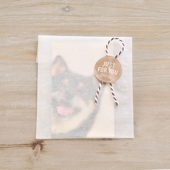 〈透ける〉平袋３種 サンプルセット（箔押しサンプル付）日本製 A100 3枚目の画像