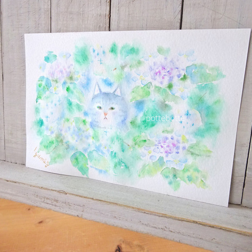 ✻【原画】紫陽花と仔猫 6月の宝石 no.170 | 水彩画 アート 絵