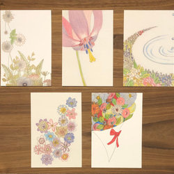ポストカード/色とりどりの花たち/５枚セット 1枚目の画像