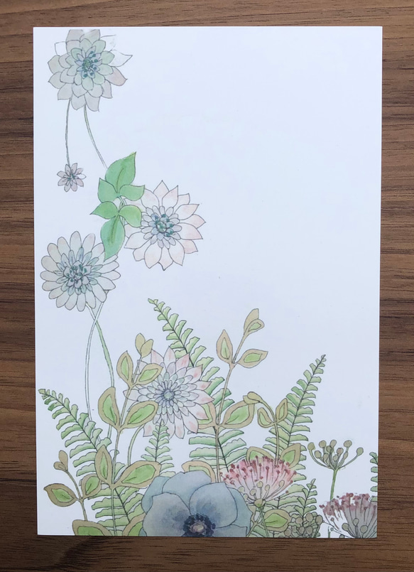 ポストカード/色とりどりの花たち/５枚セット 2枚目の画像