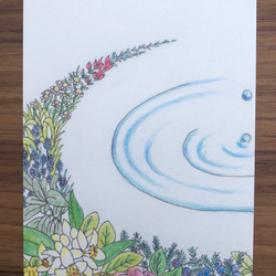 ポストカード/色とりどりの花たち/５枚セット 4枚目の画像