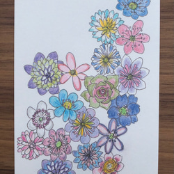 ポストカード/色とりどりの花たち/５枚セット 5枚目の画像