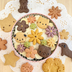 手作りクッキー チョコチップクッキー ディアマンクッキー 40枚