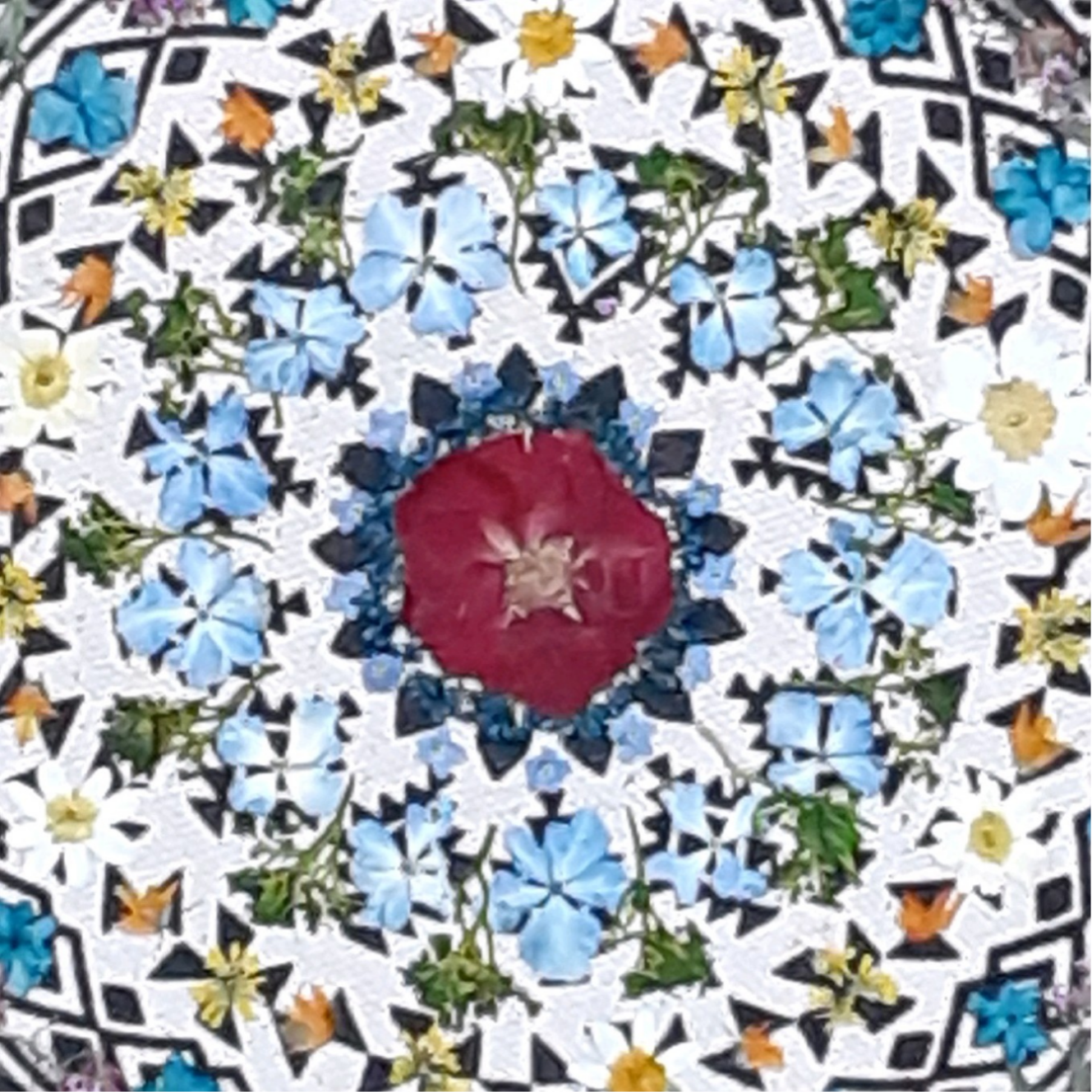 押し花 小さな花達のロンド 28,000円