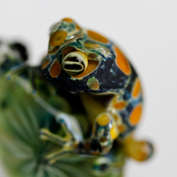 Frog（カエル）ファナネックレス410 5枚目の画像