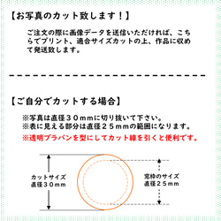 【訂做】相架、相框、嬰兒禮物、寵物、綠色 第5張的照片