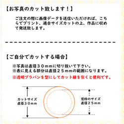 【受注製作】フォトスタンド　写真立て　出産祝い　ペット　起き上りこぼし　オレンジ 5枚目の画像