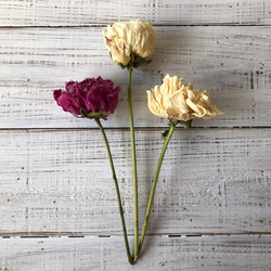 芍薬3本セット（オフホワイト、ピンク） ドライフラワー 花材 そのまま飾れるバランスで発送します 5枚目の画像