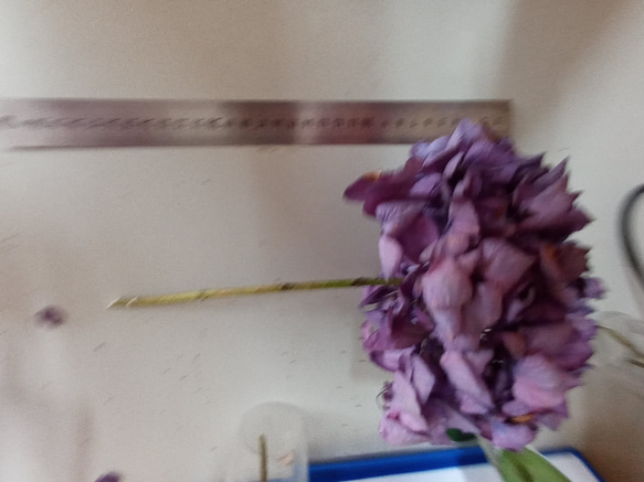 紫陽花のドライフラワー 3枚目の画像
