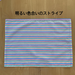 色が選べる35✖️25cm色違いランチョンマット 2枚目の画像