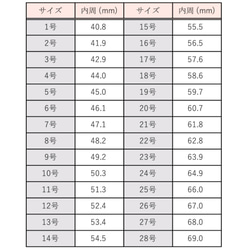  第5張的照片