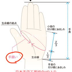 革手袋『ブラック』オ一プンフィンガー/ミンク貼り 6枚目の画像