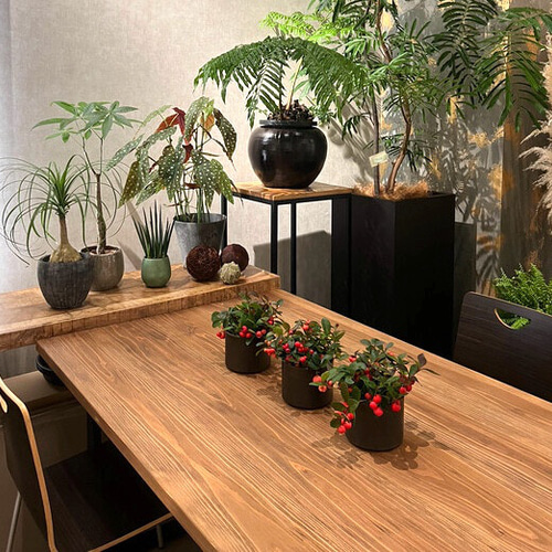 【送料無料】天然杉板  無垢家具テーブル  飾り棚  サイドテーブルハンドメイド 445dc327bd48a08bf4101a61498ecd