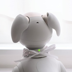 aibo　水引製の首輪　ヘアバンド【すいかカラー】スイカ　夏　カラフル　赤 9枚目の画像