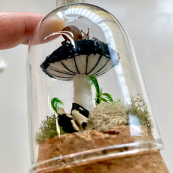 キノコのミニドーム(黒) カタツムリ付き 2枚目の画像