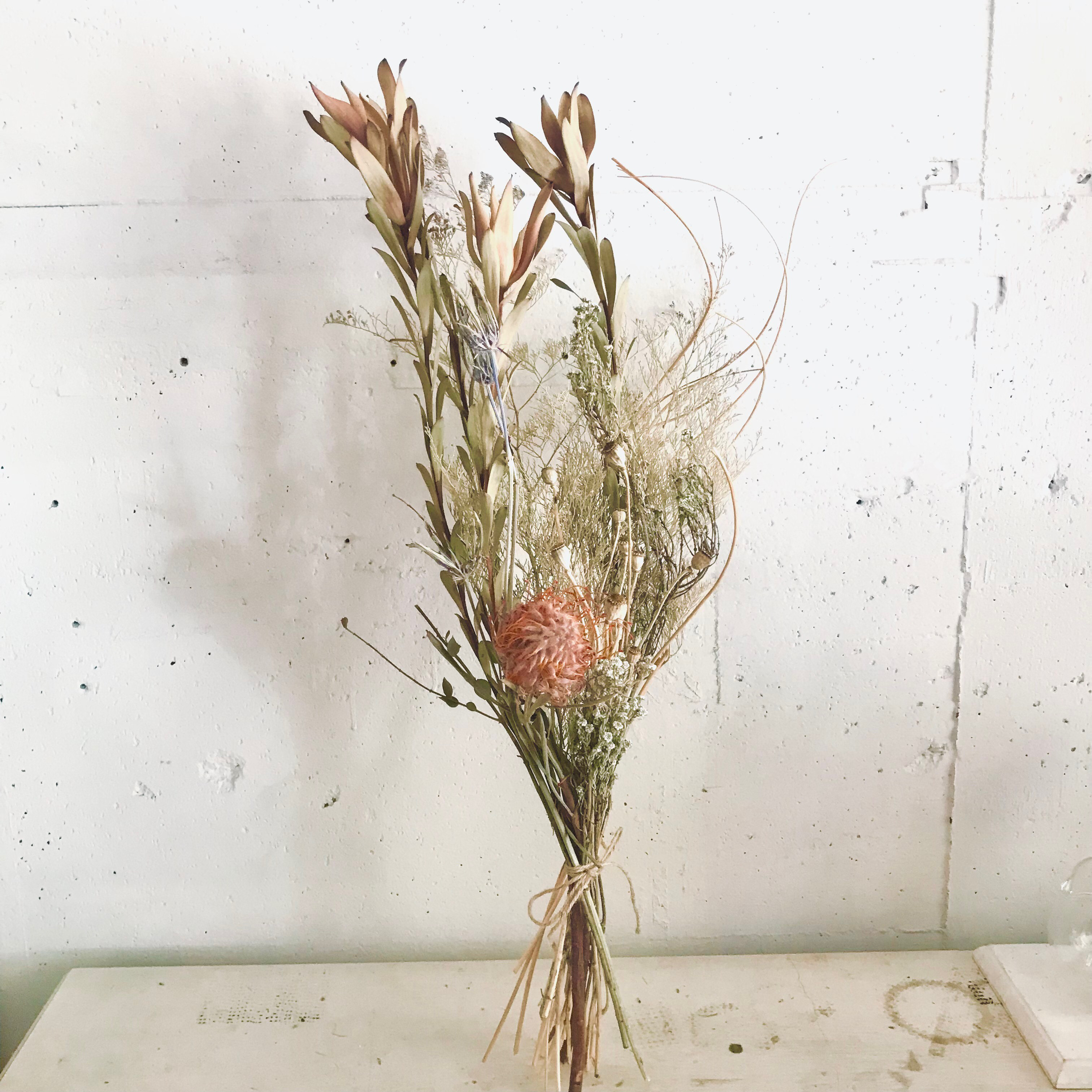 ピンクッションとリューカデンドロンのナチュラルスワッグ