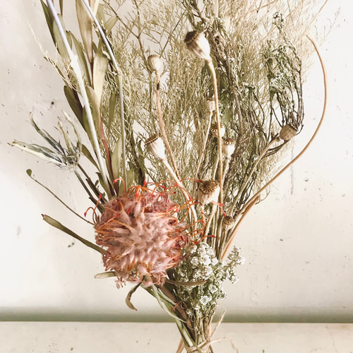 ピンクッションとリューカデンドロンのナチュラルスワッグ ドライ