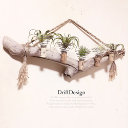〜Drift Design〜　味わい流木のお洒落な多用途５連コルクホルダー　エアプランツ　造花　植物　インテリア 1枚目の画像