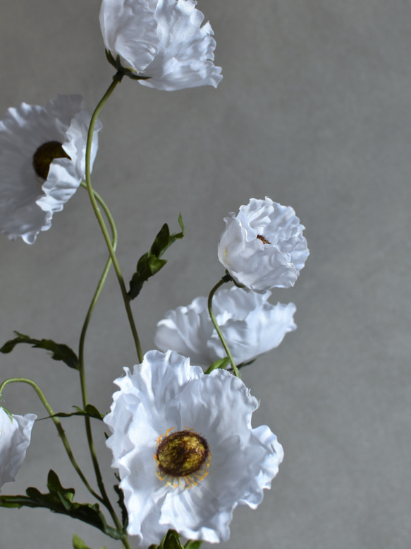 咲き続けるホワイトポピー　マジカルウォーター　癒しのフラワーインテリア 6枚目の画像