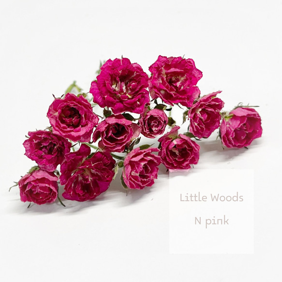 Little Woods　Nピンク  リトルウッズ　10輪　自然色　ドライフラワー ミニバラ　極小薔薇　ミニミニ薔薇　リ 1枚目の画像