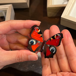 木製蝶々標本ブローチ 【クジャクチョウ/inachis io geisha】 1枚目の画像