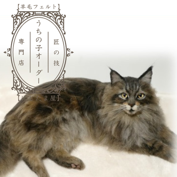 羊毛フェルトオーダー受付 リアル うちの子 オーダー ぬいぐるみ 羊毛フェルトオーダー受付 リアル うちの子 オーダー ぬいぐるみ