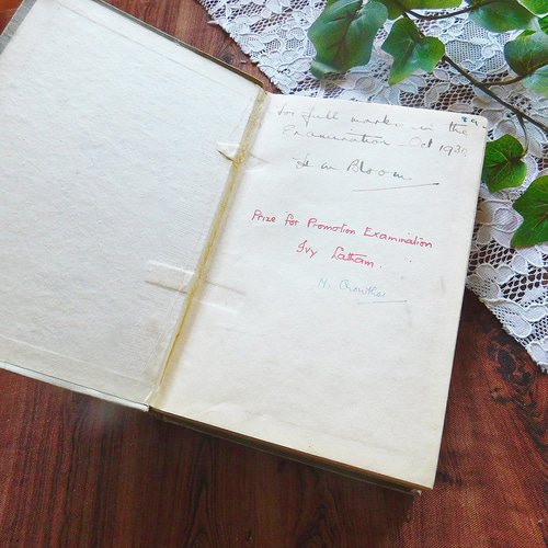1929年 英国の洒落た古書 ヴィンテージ本 ロンドン アンティーク 1929年 英国の洒落た古書 ヴィンテージ本 ロンドン アンティーク
