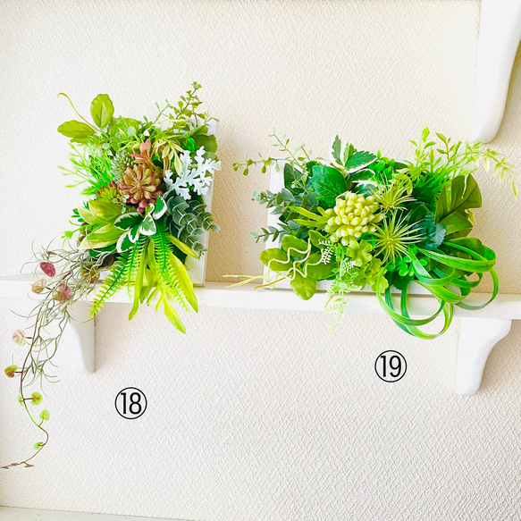 「植物の誕生」【フレームサイズ 27×22cm】 植物の誕生」【フレームサイズ 27×22cm】