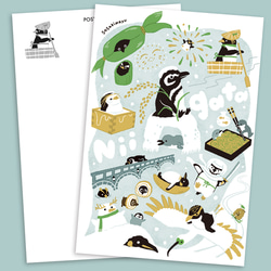 ポストカード 新潟ペンギン ポストカード pencreme (ささきまゆ) 通販