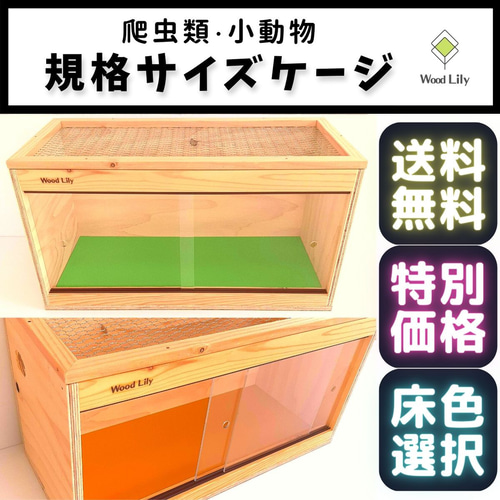 爬虫類「規格サイズケージ」60×30×H30◇送料無料◇床板色選べる