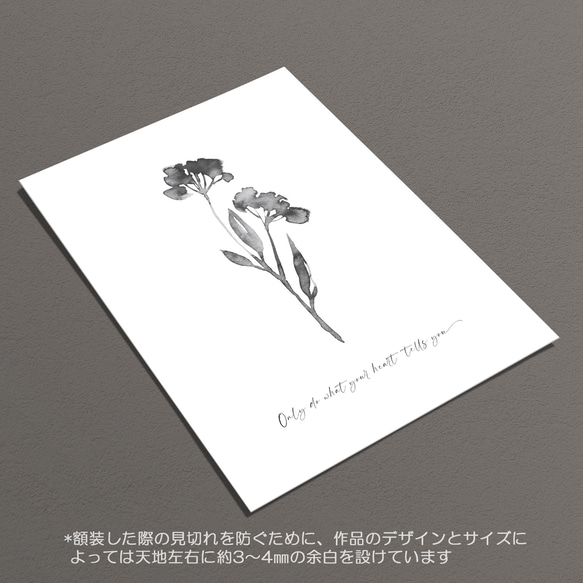 ☆インテリアアートポスター -botanique-【382】 6枚目の画像