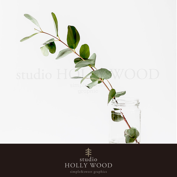 ☆インテリアフォトポスター -eucalyptus leaf-【428】 7枚目の画像