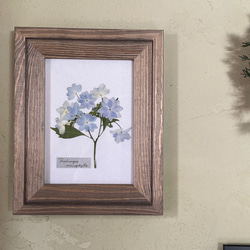 【完売】紫陽花ドライフラワー＊3Dインテリアフレーム♡ 77d880a8247067acc596d761d72980