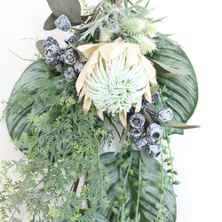 １点限りSALE♪「送料無料」キングプロテア 観葉植物 サマースワッグリース 7枚目の画像