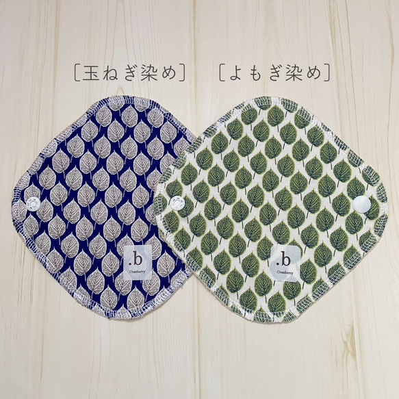  第2張的照片
