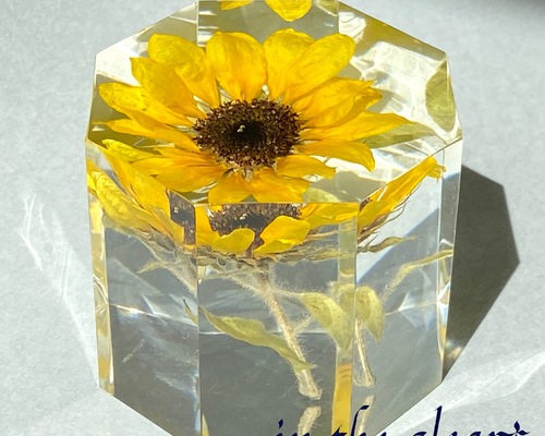 果物とひまわり（混合技法) 果物とひまわり（混合技法)