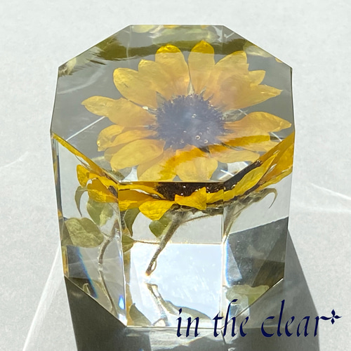 ひまわりページ 植物標本 ひまわり レジン 八角柱 ハーバリウム・植物標本 in