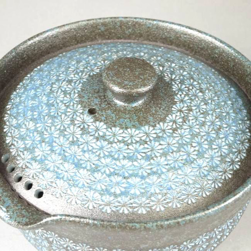 宝瓶 DSC9433-300x200.jpg