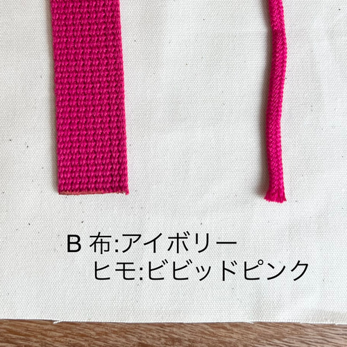 【アイアイ専用】入学セット 入園入学準備セット 刺繍グッズ6点／アイスクリーム［選べる8色