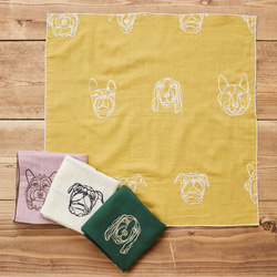 190a0ee5d88a559987ecff3c911986