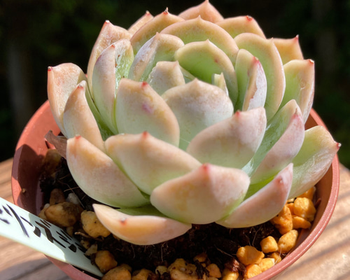 4e36876f23ce646e7378cc782c96e8