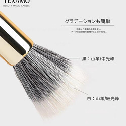 【再入荷】TEXAMO　A115チークブラシ 2枚目の画像