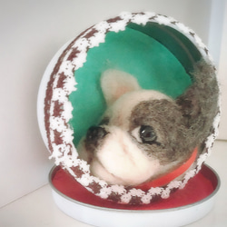 羊毛フェルト ベッタン子 サルーキ犬 羊毛フェルト olive 通販
