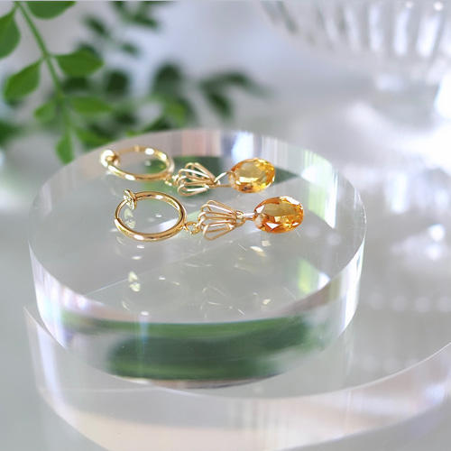 M’s Casa。パイナップルクッキーピアス パイナップルクッキー ピアス - メルカリ