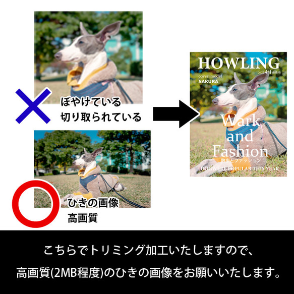 【送料無料 ギフト】 名入れ オリジナル デザイン 雑誌風 トートバッグ Ｍサイズ ki130 最速 3枚目の画像