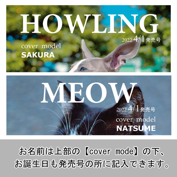 【送料無料 ギフト】 名入れ オリジナル デザイン 雑誌風 トートバッグ Ｍサイズ ki130 最速 6枚目の画像