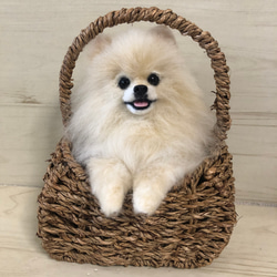 羊毛フェルト　ポメラニアン 羊毛フェルト ポメラニアンちゃんのフラワーフレーム クリーム系 羊毛