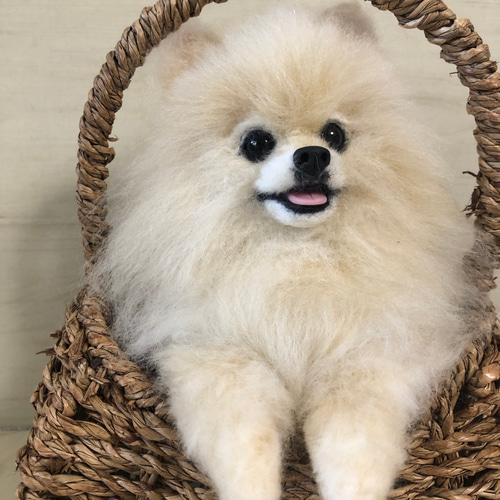 羊毛フェルト ふわふわポメラニアンのバスケット 羊毛フェルト needle