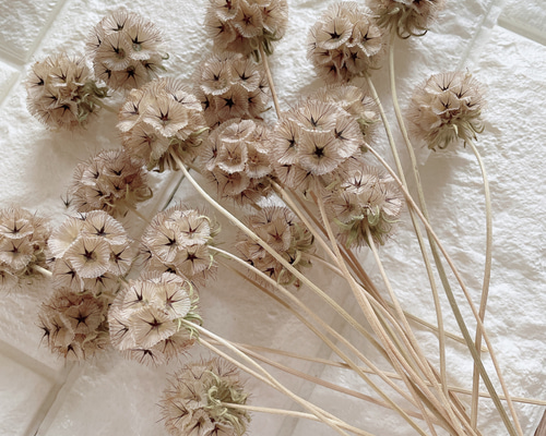 b5a5d191696fc9dd861dd8cf993424